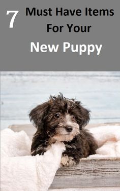 a small black and white dog laying on top of a bed with the words 7 must have items for your new puppy