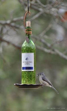 a bottle of wine sitting on top of a bird feeder next to a small bird