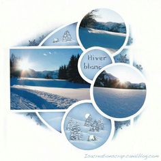 a collage of winter scenes with trees and snow