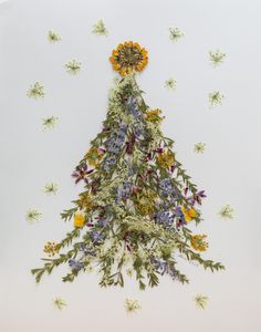 This handmade original artwork is part of my Christmas 2024 tree collection. Winter thyme is adorned with an array of pressed flowers, leaves and greenery with an heirloom zinnia star at the top and Queen Anne's lace snowflakes falling.   The plant material was gathered and traditionally pressed by hand in Oregon. The paper is a beautiful, lightly-textured, archival-quality, card stock.  The art piece measures approximately 11x14" and is framed in gold aluminum and glass. CARE: To delay natural color changes, display away from harsh sunlight and high humidity. Colors may differ slightly based on individual monitor settings.  * Also available in print reproduction. ** FREE ECONOMY SHIPPING Christmas Pressed Flower Art, Pressed Leaf Art, Framed Florals, Lace Snowflakes, Recycled Coffee Bags, Pressed Botanical Art, Pressed Florals, Pressed Flowers Art, Flower Pressing