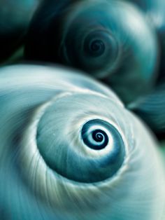 an abstract photograph of spirals in grey and white colors, with the focus on the center