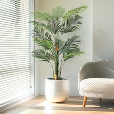 a potted plant sitting on top of a wooden floor next to a white chair