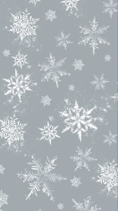 A phone wallpaper with an icy blue background with white delicate snowflakes in different sizes around the screen.