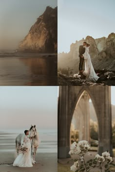 four different shots of people and animals on the beach