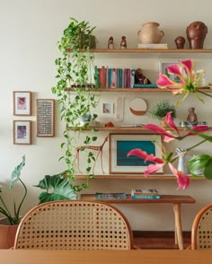 a dining room table with chairs and shelves filled with plants