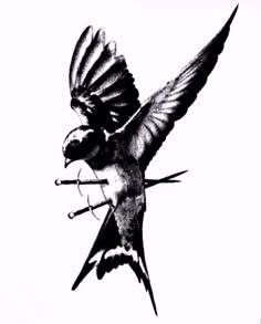 a black and white photo of a bird flying