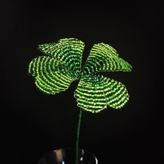 a close up of a flower in a glass vase on a black background with only the petals visible