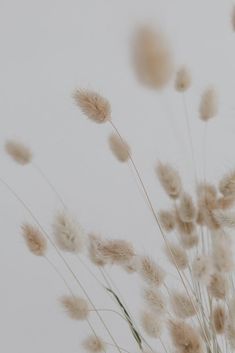 some white flowers are in a vase on the table and it's blurry