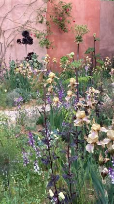 the garden is full of colorful flowers and plants