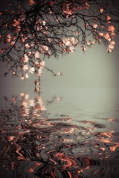 an artistic photo with the words, and water in front of it on a dark background