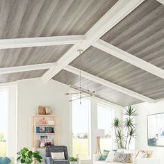 a living room filled with furniture and lots of windows