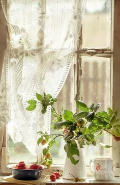 a window sill filled with fruit and greenery next to a bowl of strawberries