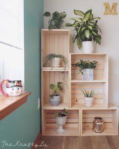 a wooden shelf filled with potted plants on top of a hard wood floor next to a window