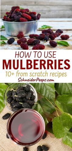 how to use mulbberries from scratch recipes