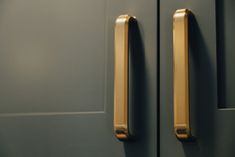 two brass handles on a blue door