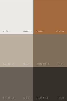 some brown and white colors are in the same color scheme, with different shades to choose from