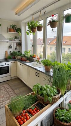 indoor gardening ideas Apartment Veggie Garden, Greenhouse For Vegetables, Growing Veggies Indoors, Diy Indoor Greenhouse, Grow Food Indoors, Mini Vegetable Garden, Indoor Vegetable Garden, Survival Knowledge, Indoor Zen Garden