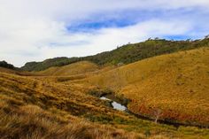 River on the Horton Plains, Sri Lanka. Close up background shot stock images Sri Lanka, Blue Sky, Close Up