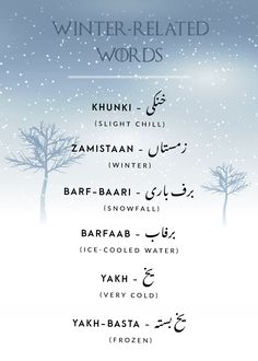 an arabic poster with the words winter related words