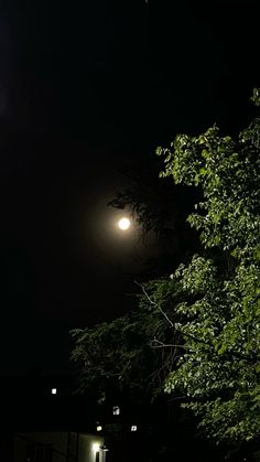 the street light is lit up in the dark night sky with no one on it