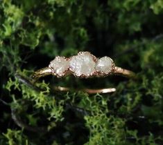 three stone ring sitting on top of green moss