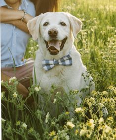 a dog wearing a bow tie sitting next to a woman in a field with wildflowers