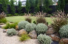 a garden with rocks, grass and plants in the foreground is an empty yard