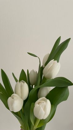 a vase filled with white flowers on top of a table