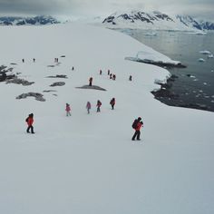 many people are walking in the snow near icebergs and water on a cloudy day