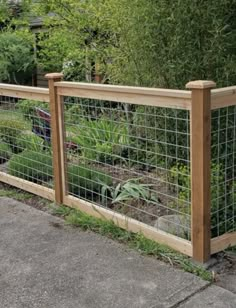 a fence that has some plants growing in it