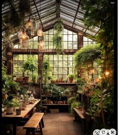 an indoor greenhouse with lots of potted plants and lights hanging from the ceiling above