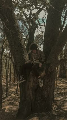 a man sitting on top of a tree in the woods