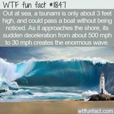 Daily Fun Facts, Unusual Facts, Funny Random, Natural Disaster, Knowledge And Wisdom