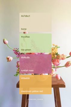 2024 Organic spring flower color palette inspiration | Branding design Peach Cream Color Palette, Color Palette Three Colors, Colors That Go With Peach, Flower Color Palette, Color Palette Spring, Eclectic Color Palette, Fun Color Palette, Watercolor Tattoo Ideas, Innovative Logo