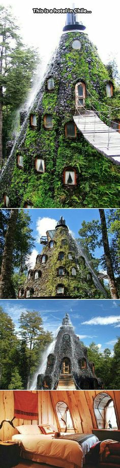 an unusual house in the middle of some trees