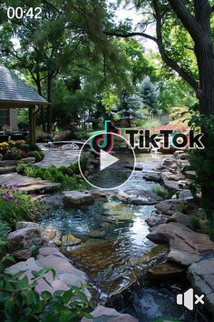 a small stream running through a lush green forest