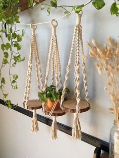 three macrame plant hangers with plants in them