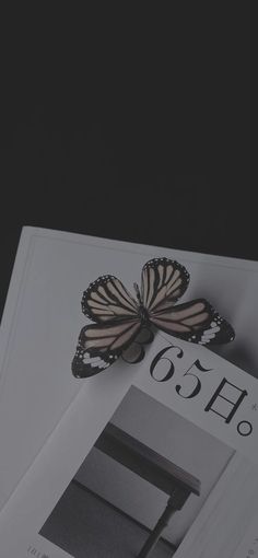 two butterflies sitting on top of a magazine with black and white pages next to each other