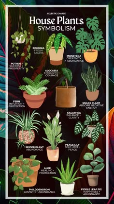 the house plants poster is shown in various colors and sizes