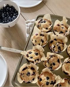 blueberry muffins are sitting on a baking tray next to a bowl of blueberries