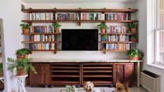 two dogs are sitting on the floor in front of a book shelf with books and plants