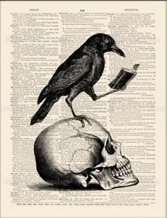 a bird sitting on top of a skull with a book in it's mouth