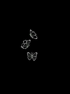 three white butterflies flying in the dark