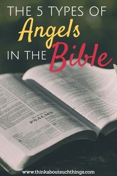 an open bible with the title, 5 types of angels in the bible