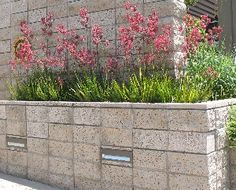 a concrete planter with pink flowers in it