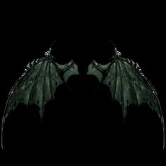 two green dragon wings on a black background