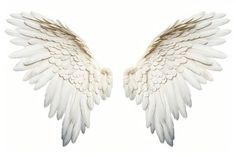 two white angel wings are facing each other in the same direction on a white background