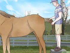 a man standing next to a brown horse