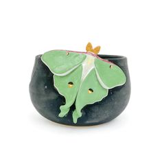 a green and white moth sitting on top of a black bowl