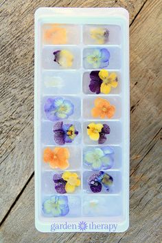 an ice tray filled with flowers sitting on top of a wooden table